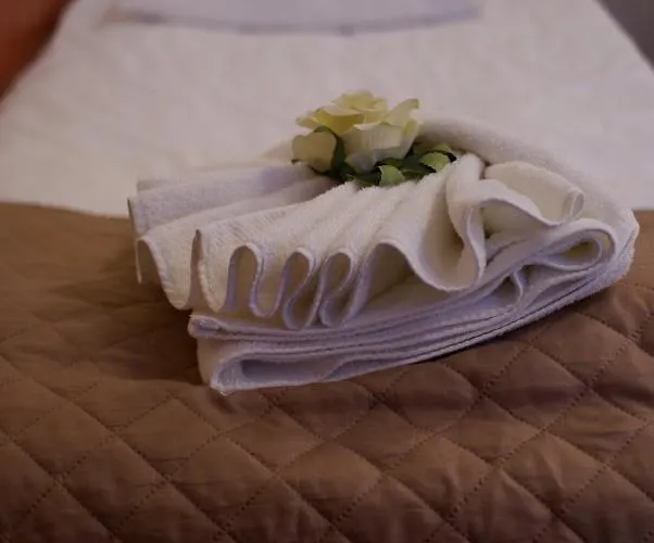 Hotel Vistula Krakau